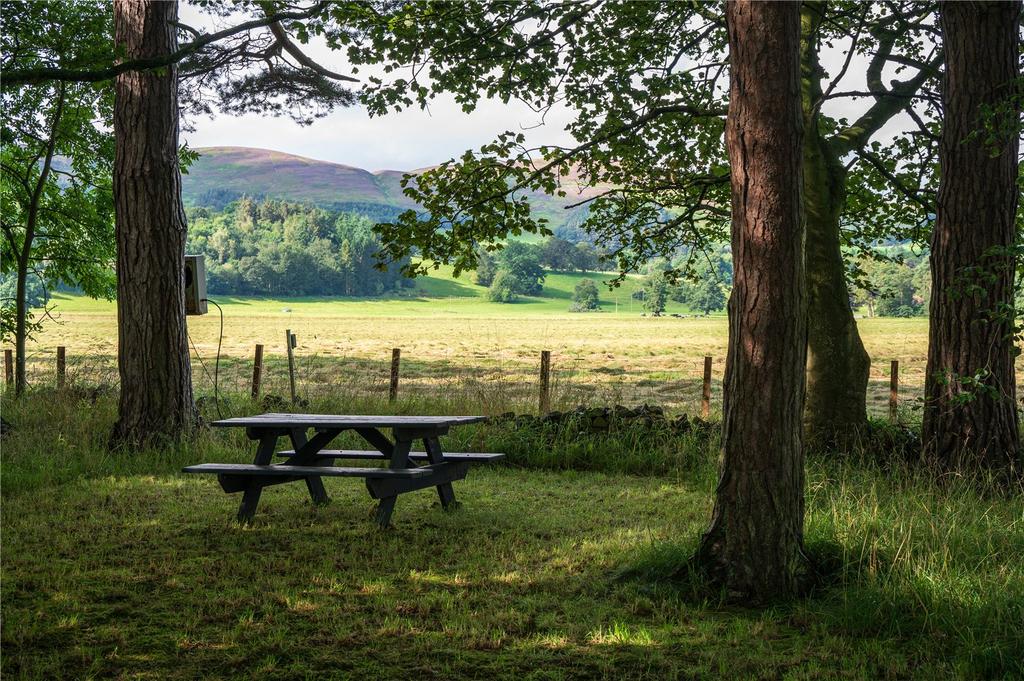 Picnic Spot