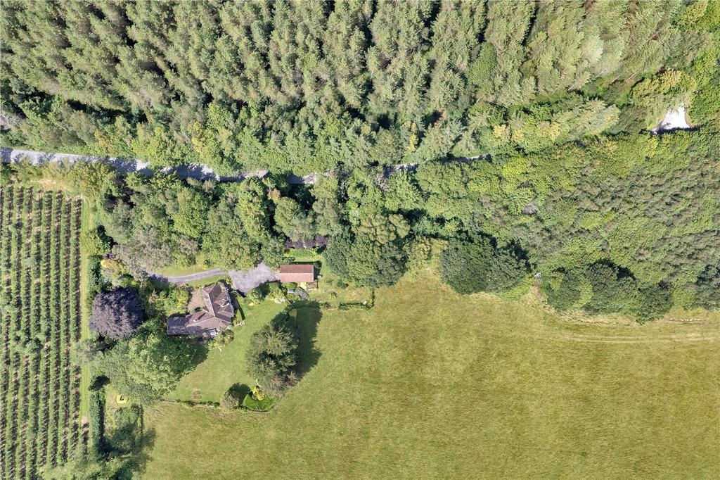 Aerial Shot