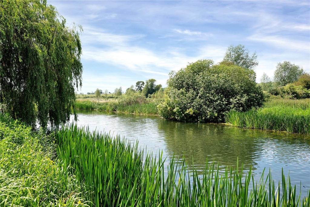 Picture No. 15