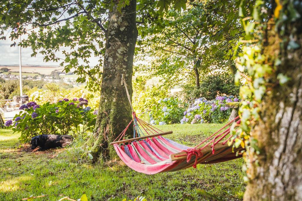 Widdicombe Lodge, Garden  Widdicombe