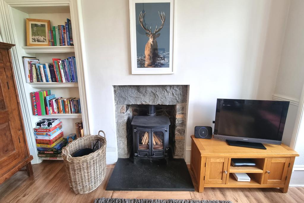 Wood Burning Stove