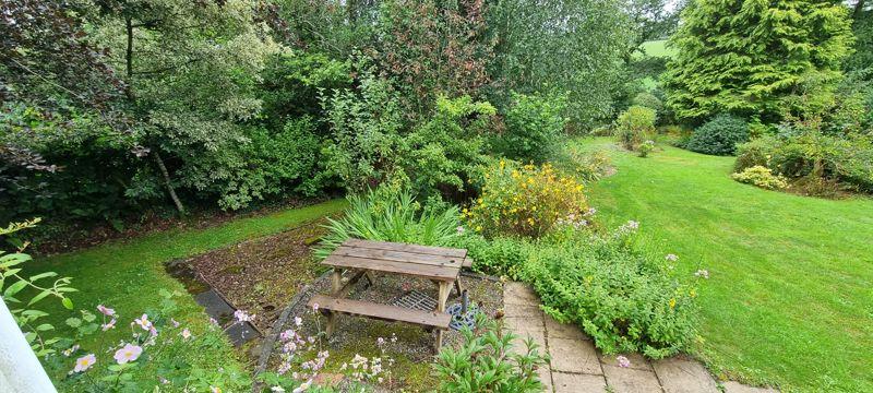 Back garden