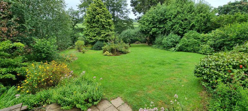 Back garden