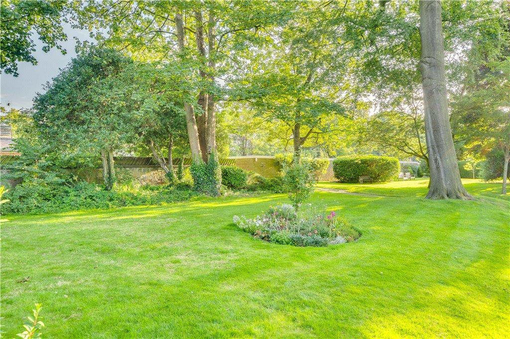 Immaculate Grounds