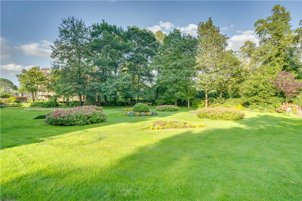 Communal Lawn