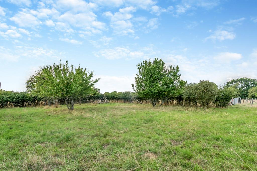 Garden/Orchard