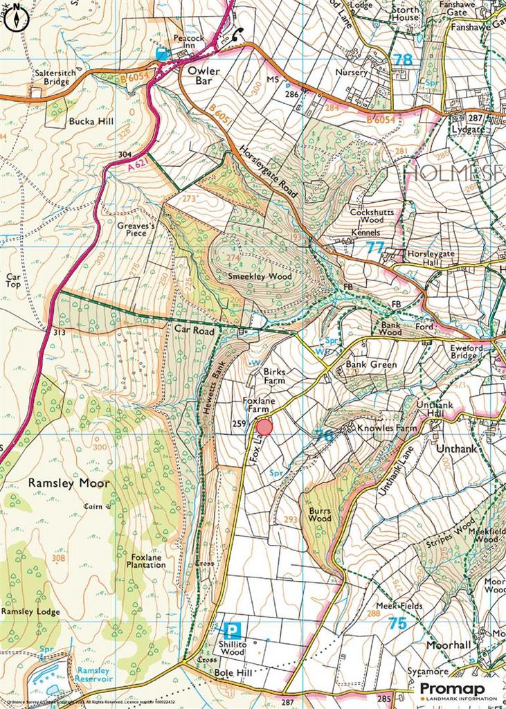 Promap-2519645-2624983-1100-0.jpg