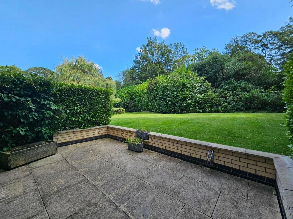 Patio Area