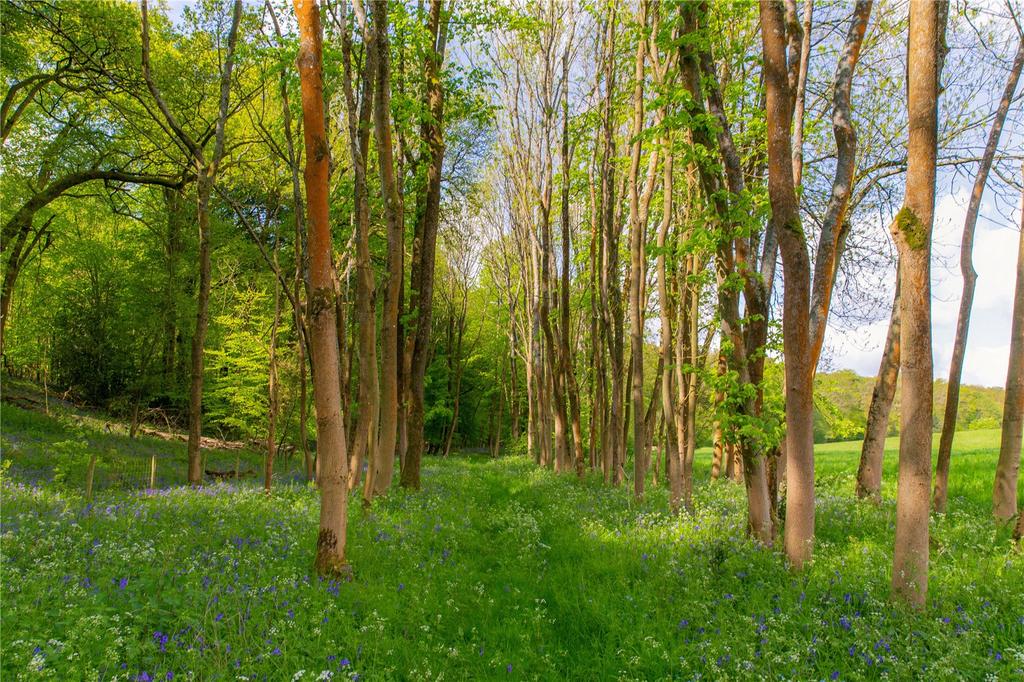 Woodland