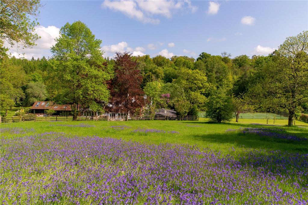 Grounds