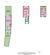 Floorplan 2 D