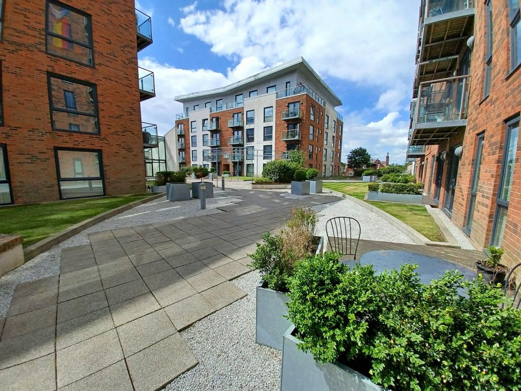 Picture 6