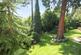 Communal Grounds