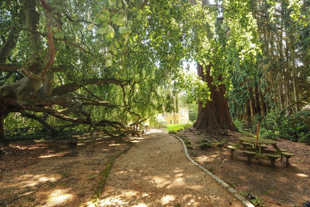Communal Grounds