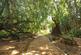 Communal Grounds