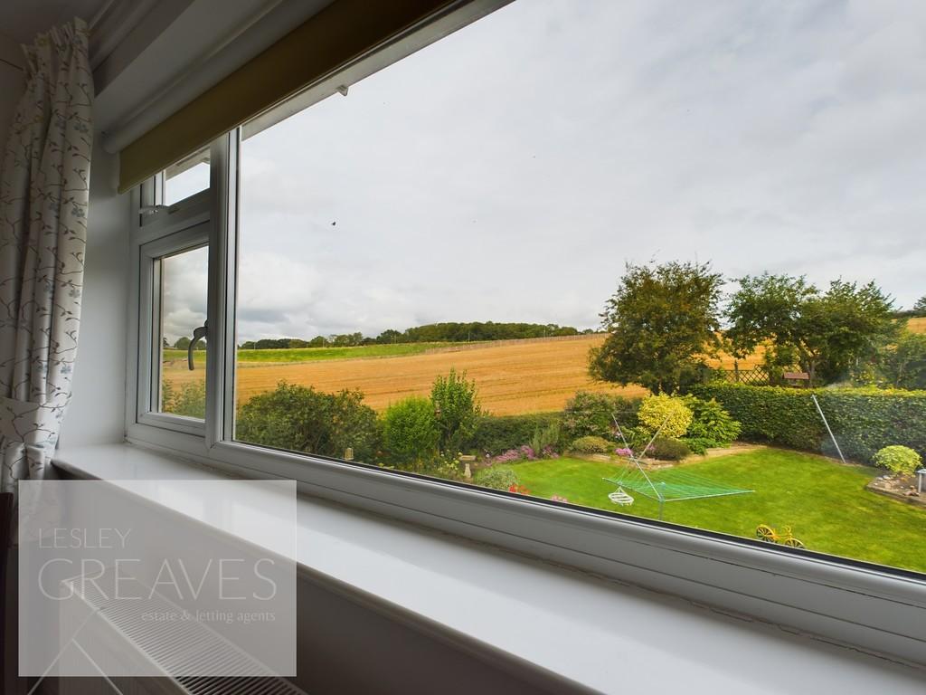 View From Master Bedroom