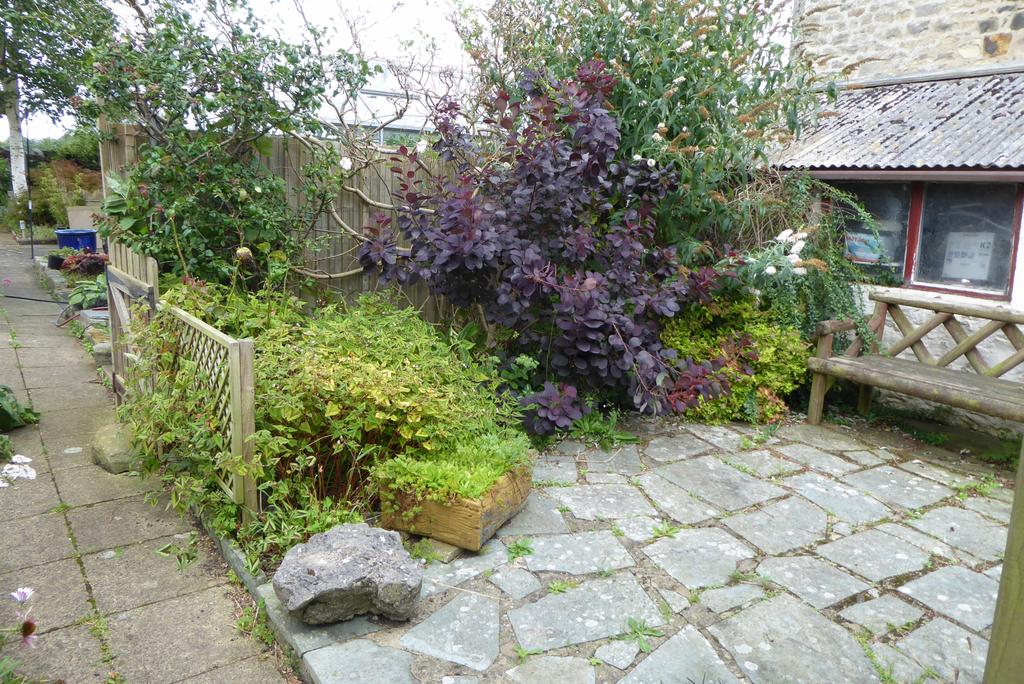 Garden area