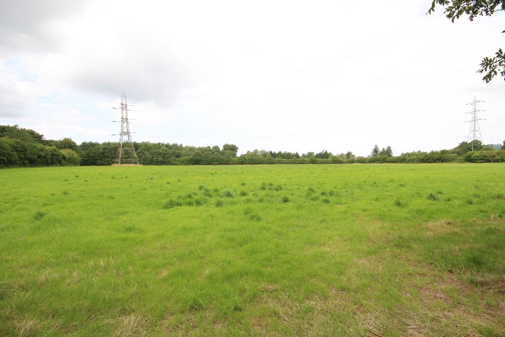 #11 - site d jpg