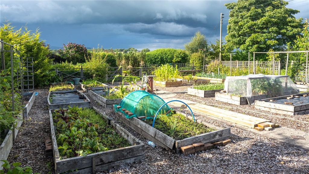 Kitchen Garden