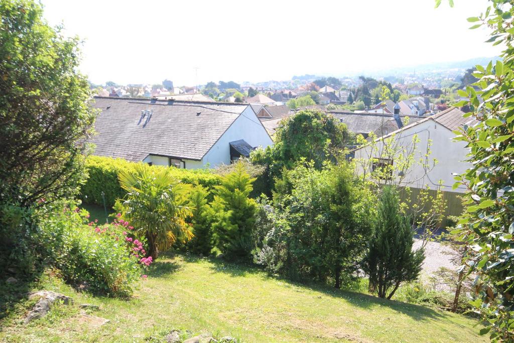 Img 9530.jpg