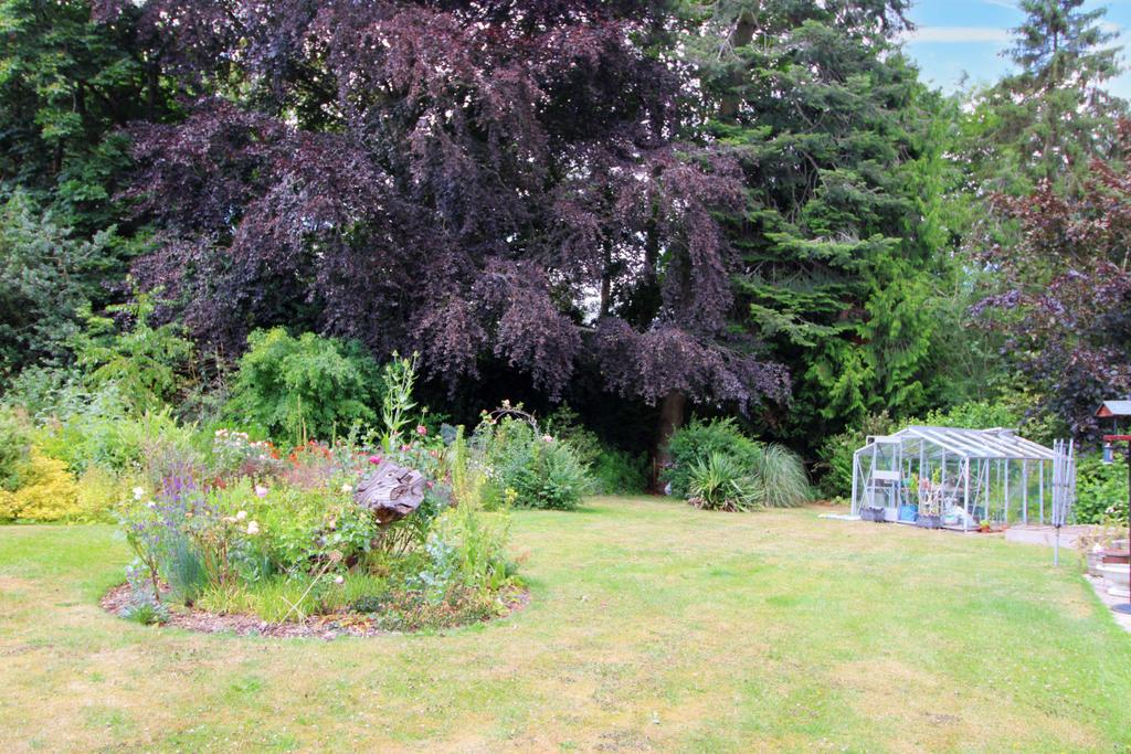 Detached Bungalow in Large Plot