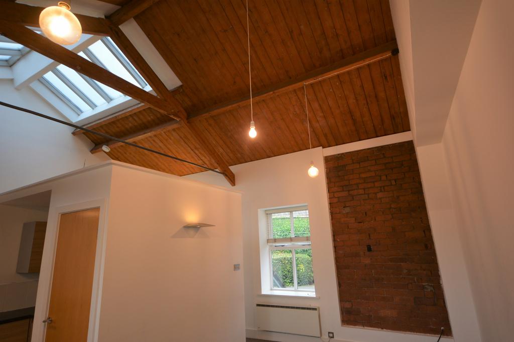 Living room vaulted  ceiling