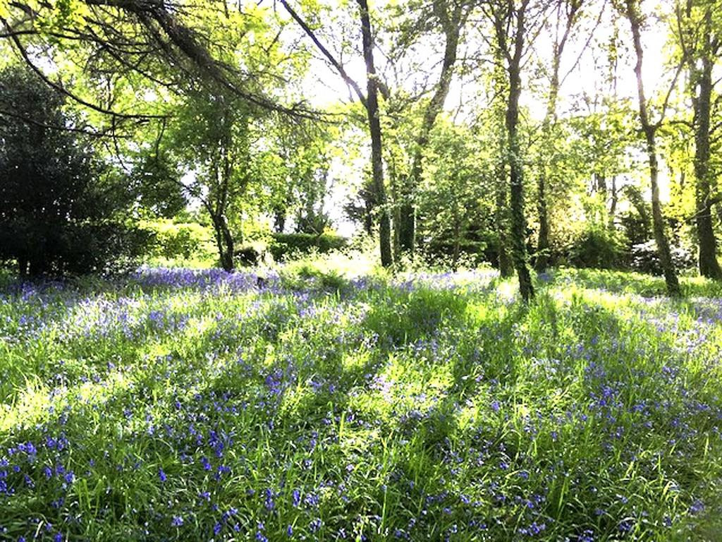 Hartgrove Retreat