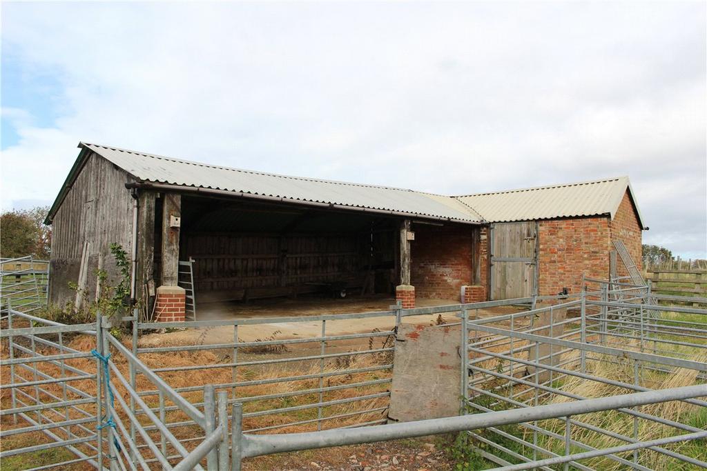 Lot 4