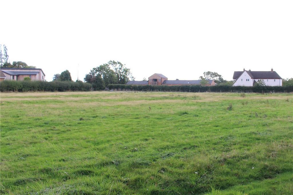 Lot 1