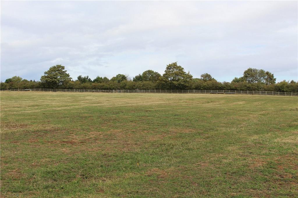 Lot 4