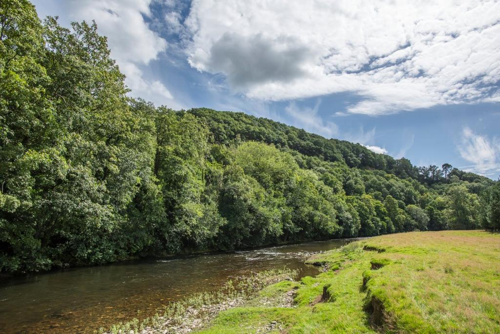 Lot 3 Land At Holmingham Farm, Bampton, Tiverton, Devon, EX16 Land for