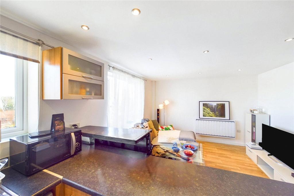 Living Room/Kitchen