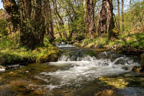 Land for sale - Buckfastleigh, Dartmoor National Park, Devon