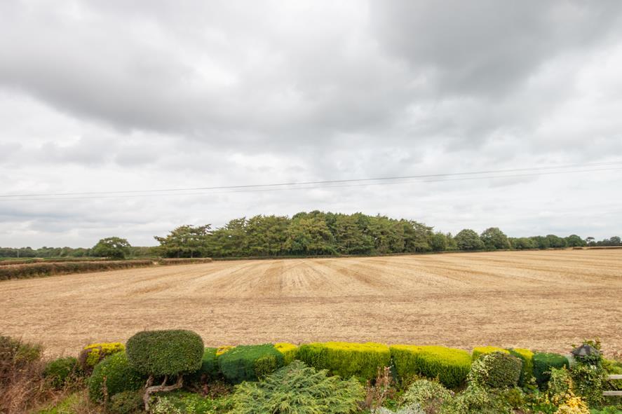 Open countryside views