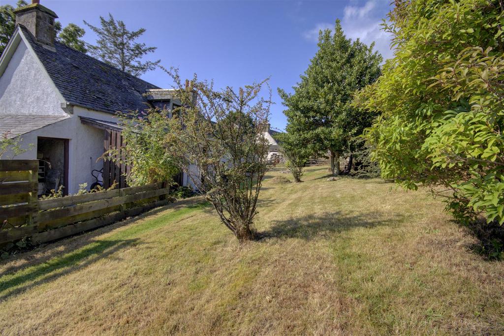 Grassed area
