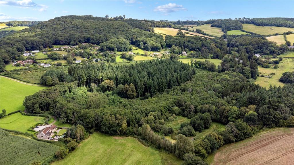 Picture No. 11