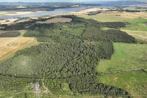 Woodland for sale, Dunmore Wood, Airth FK2