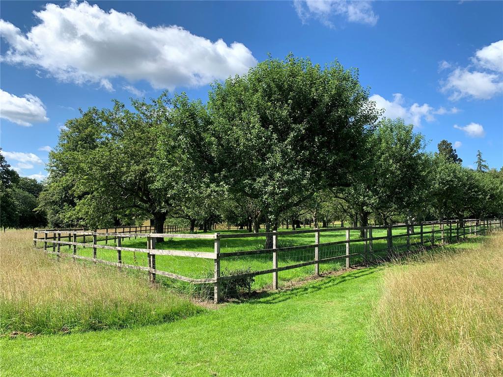 Orchard