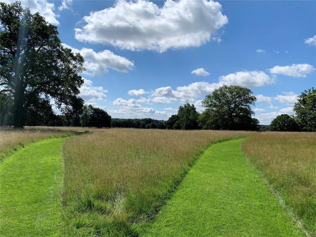 Meadow