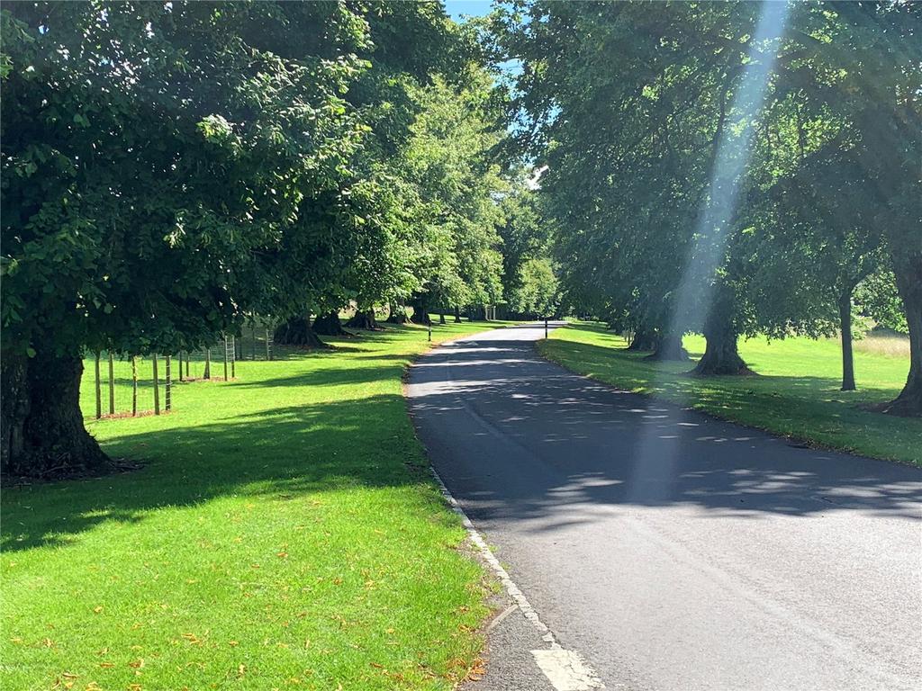 Driveway