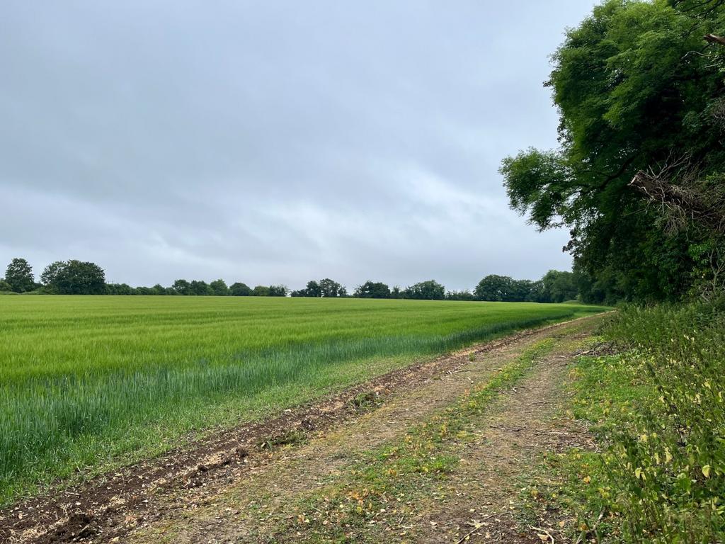 Quarley, Andover, Hampshire Land for sale £270,000