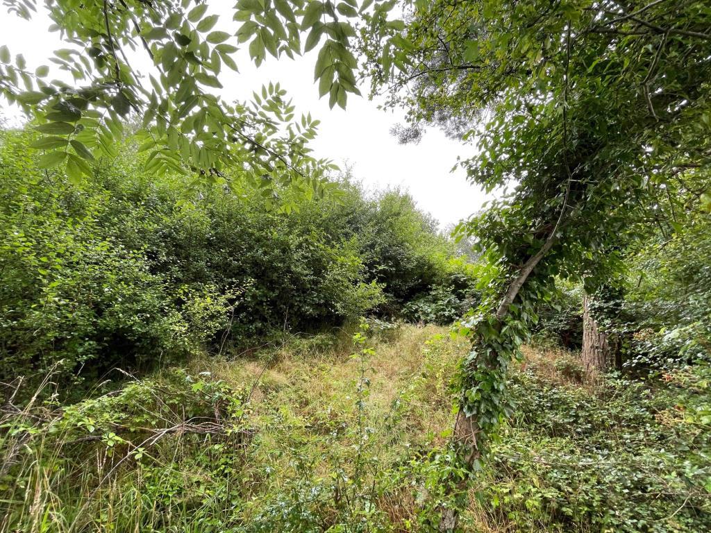 Approx 1 acre Overgrown land to the rear on the ro