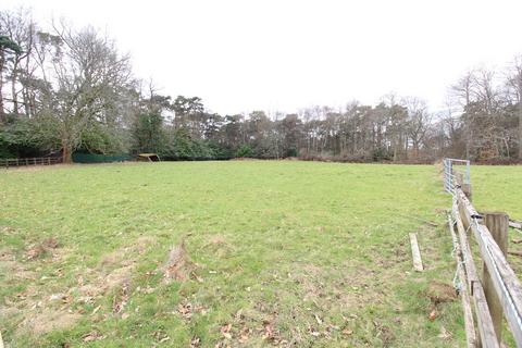 Land to rent, Crawley Hill, West Wellow, Romsey
