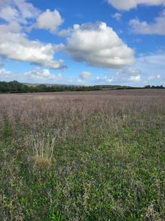 Land for sale, Northampton Road, Bromham MK43