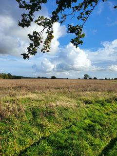 Land for sale, Northampton Road, Bromham MK43