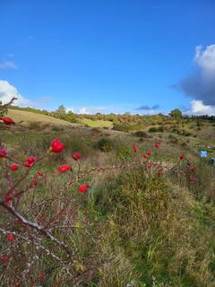 Land for sale, Great Lane, Clophill MK45