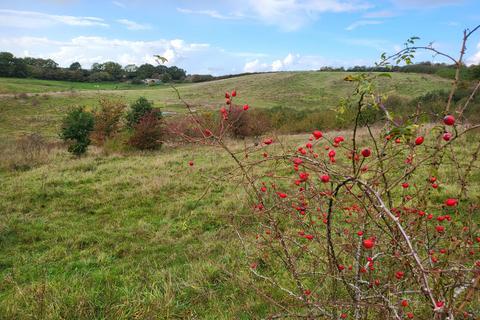 Land for sale, Great Lane, Clophill MK45