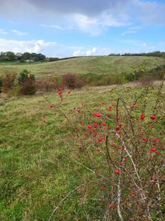 Land for sale, Great Lane, Clophill MK45