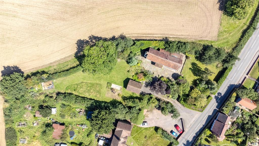 Large Garden