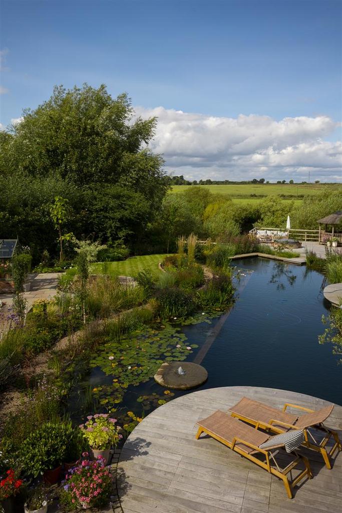 Natural swimming pool and view